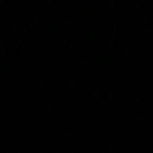 Meet your Posher, Ty